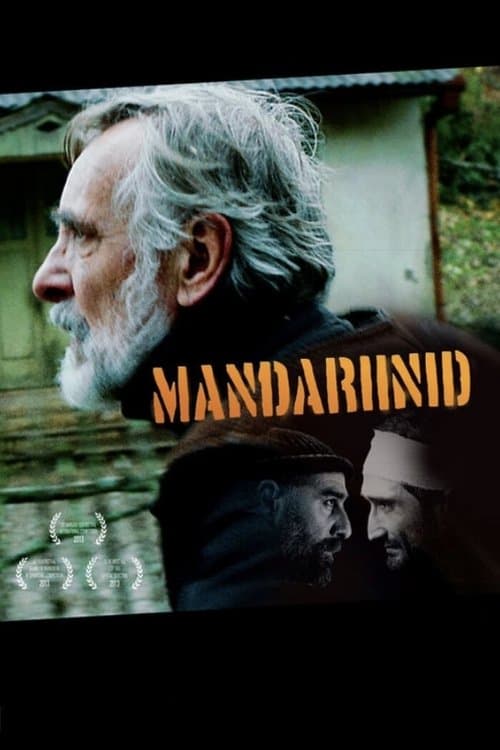 Tangerines (2013) poster