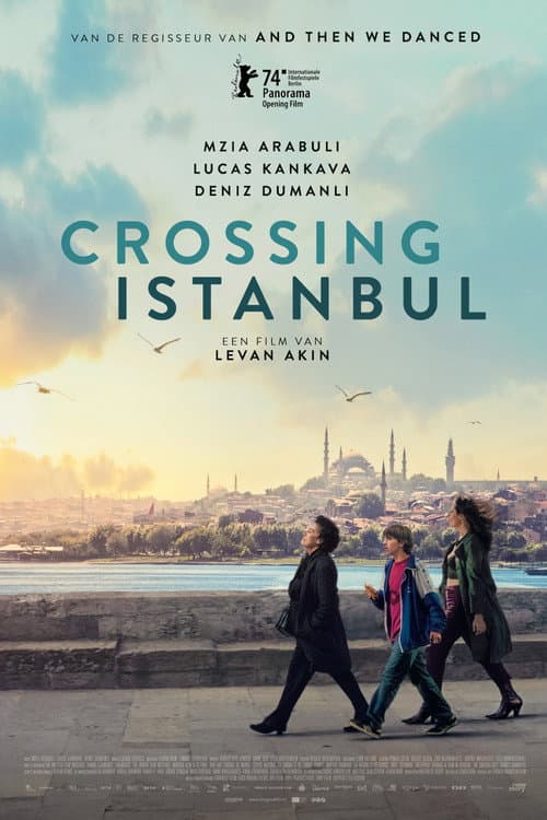 Crossing Istanbul (2024) poster