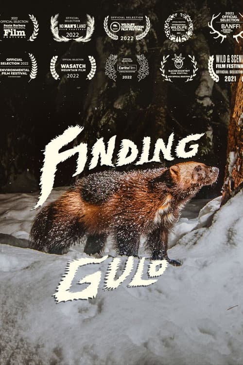 Finding Gulo (2022) poster