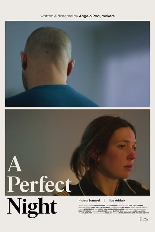 A Perfect Night (2025) poster