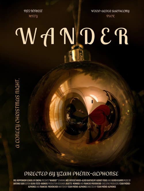 WANDER (2024) poster