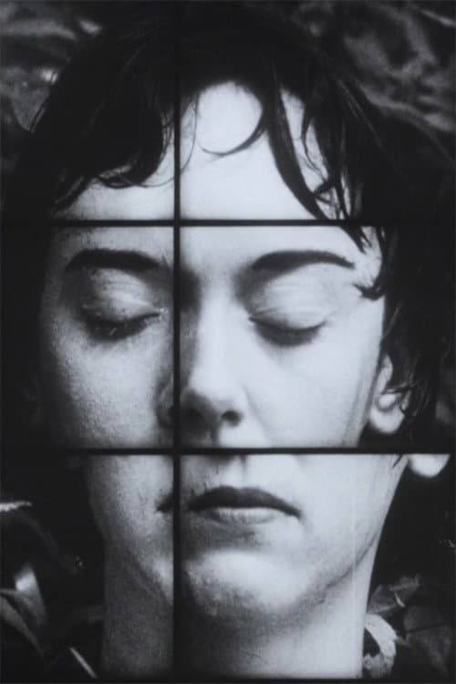 A Temporary Arrangement (1995) poster