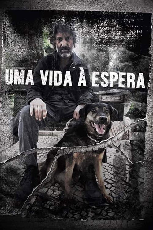 Uma Vida À Espera (2017) poster