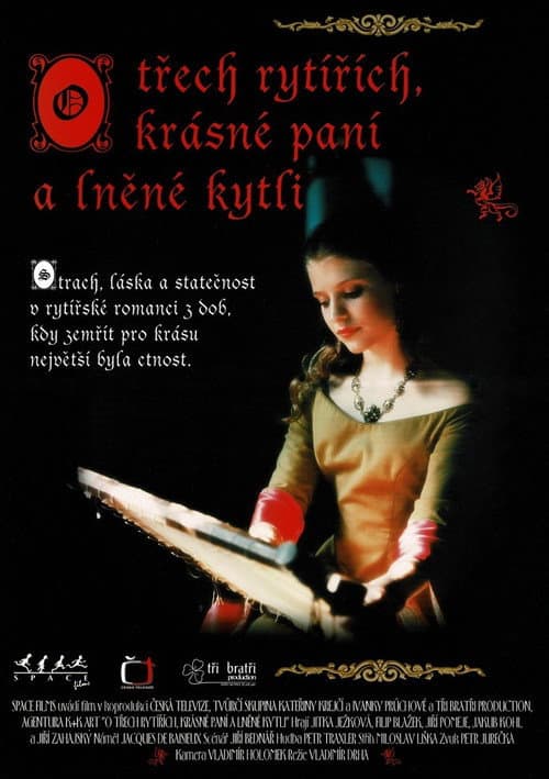 O třech rytířích, krásné paní a lněné kytli (1996) poster