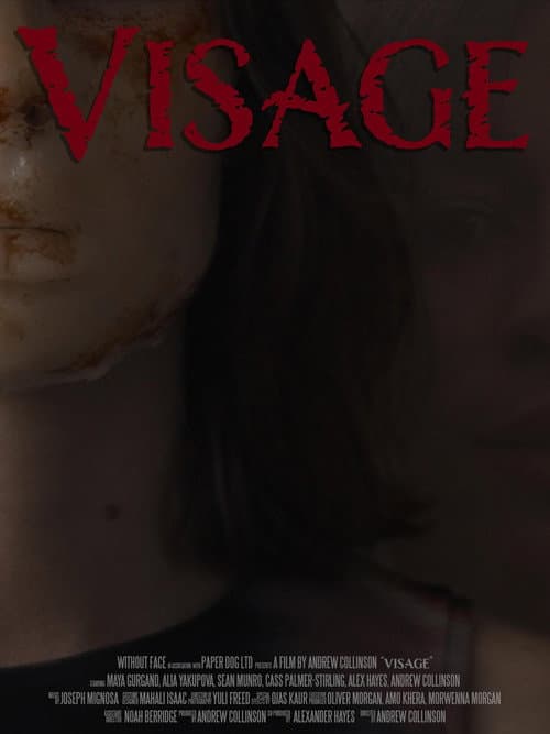 Visage (2026) poster