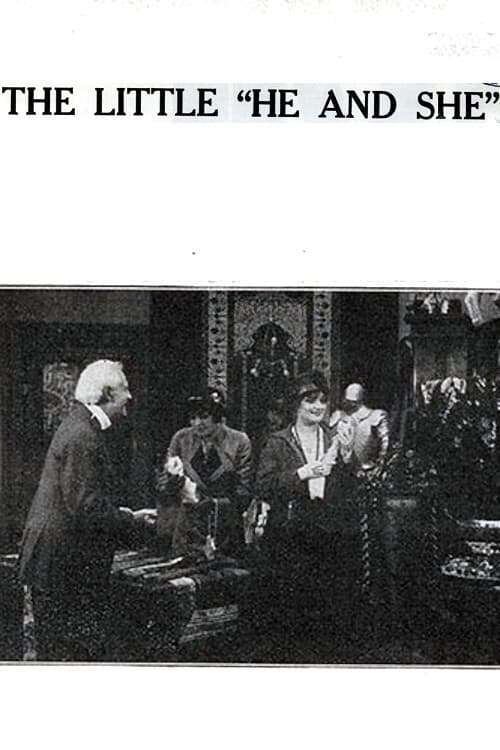 The Little 'He and She' (1914) poster