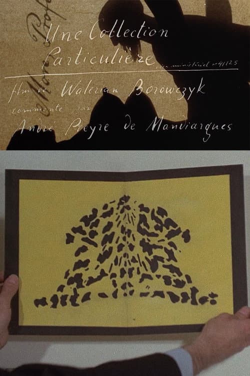 Une collection particulière (1972) poster