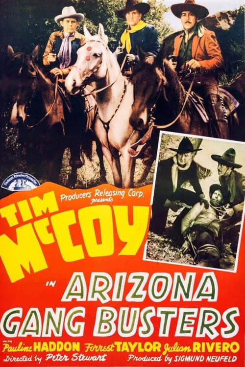 Arizona Gang Busters (1940) poster