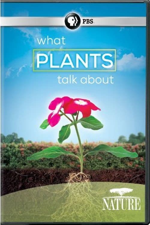 What Plants Talk About (2013) poster