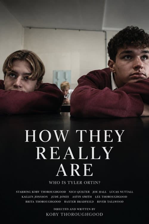 How They Really Are (2026) poster