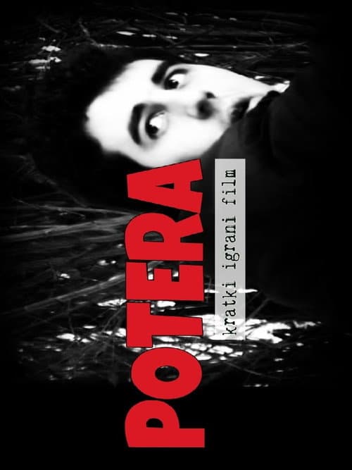 Potera (2006) poster