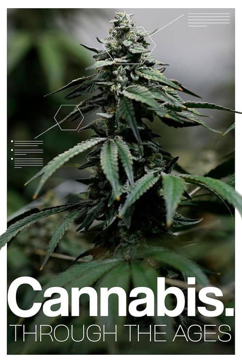 Cannabis: Through the Ages (2020) poster
