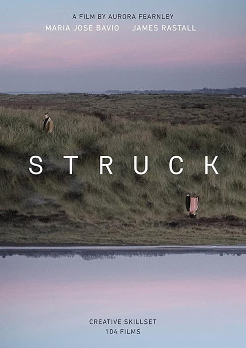 Struck (2017) poster