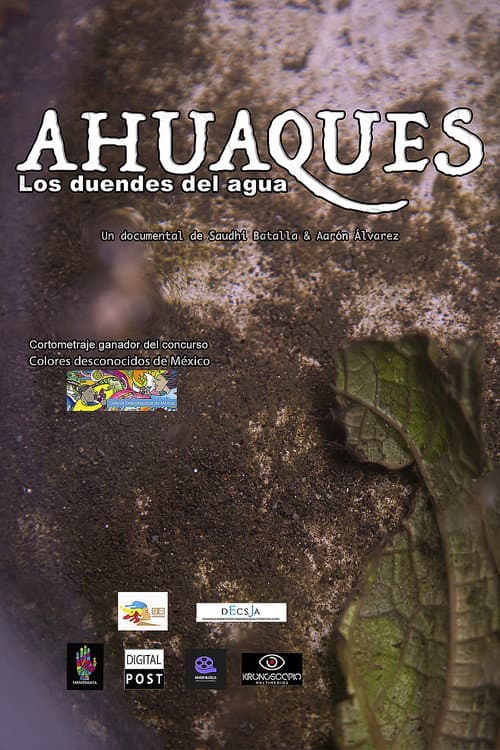 Ahuaques, los duendes del agua (2020) poster