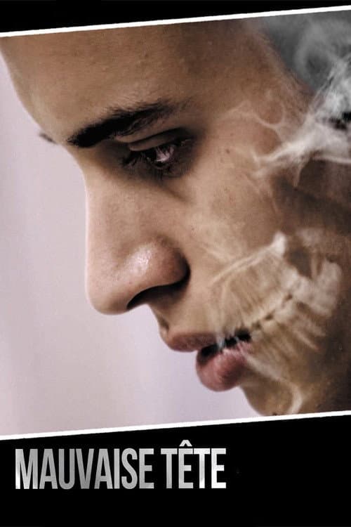 Mauvaise tête (2014) poster
