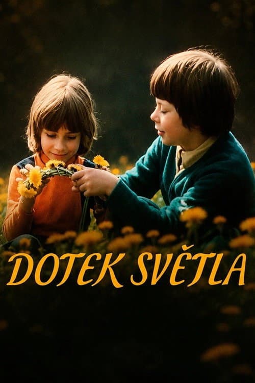 Dotek světla (1979) poster