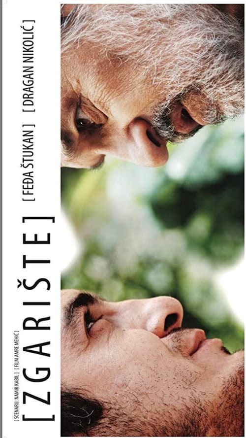 Zgarište (2009) poster
