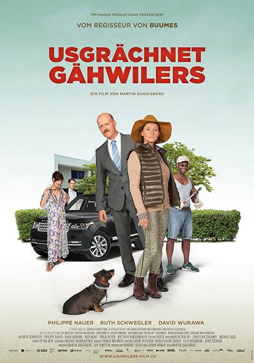 Usgrächnet Gähwilers (2017) poster