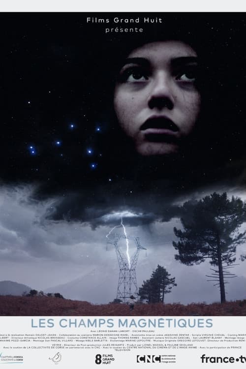 Les champs magnétiques (2021) poster