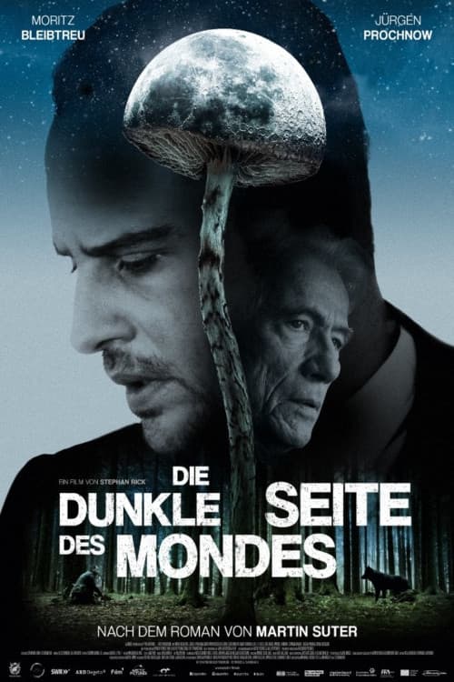 Die dunkle Seite des Mondes (2016) poster