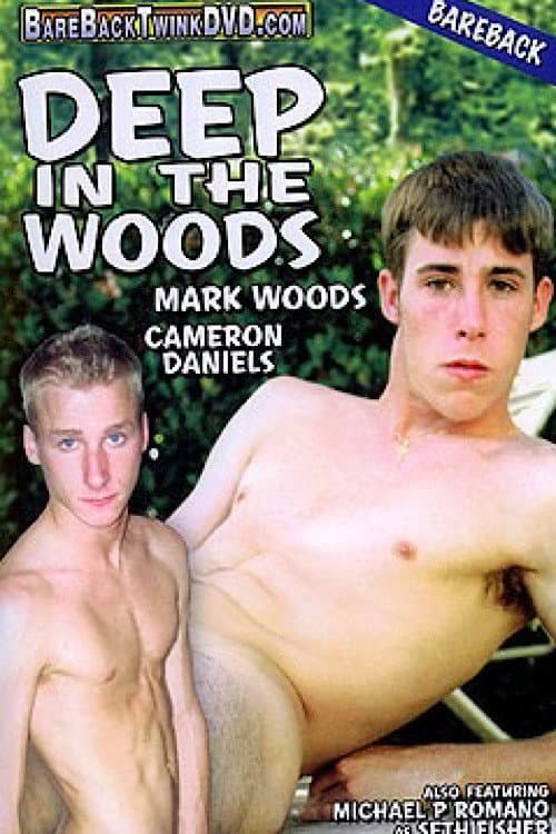 Deep in the Woods (2008) poster