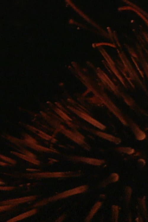 Les Oursins (1954) poster