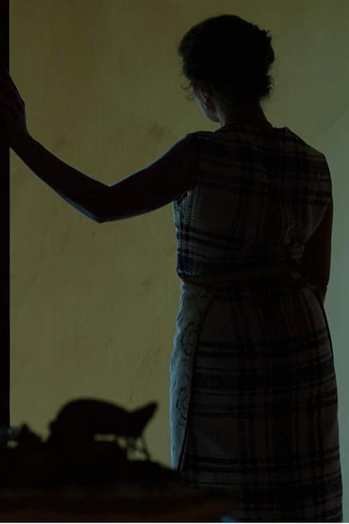 Domesticada (2011) poster