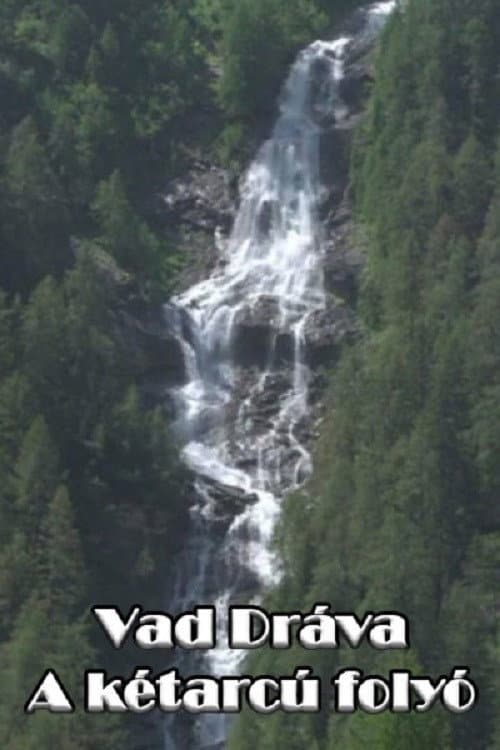 Vad Dráva - A kétarcú folyó (2022) poster