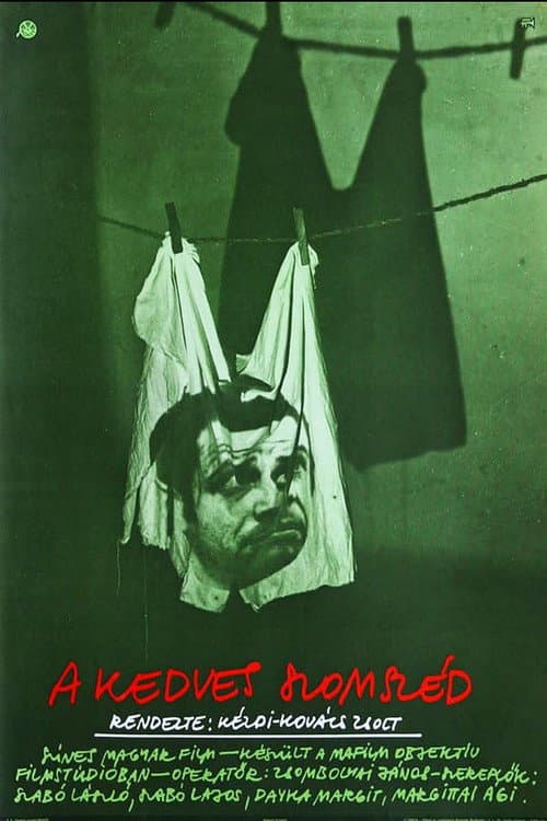 A kedves szomszéd (1979) poster