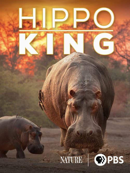 Hippo King (2022) poster