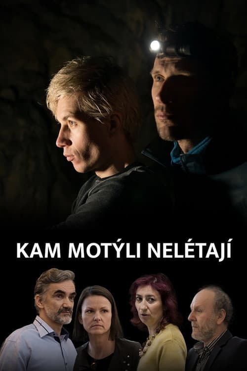 Kam motýli nelétají (2023) poster