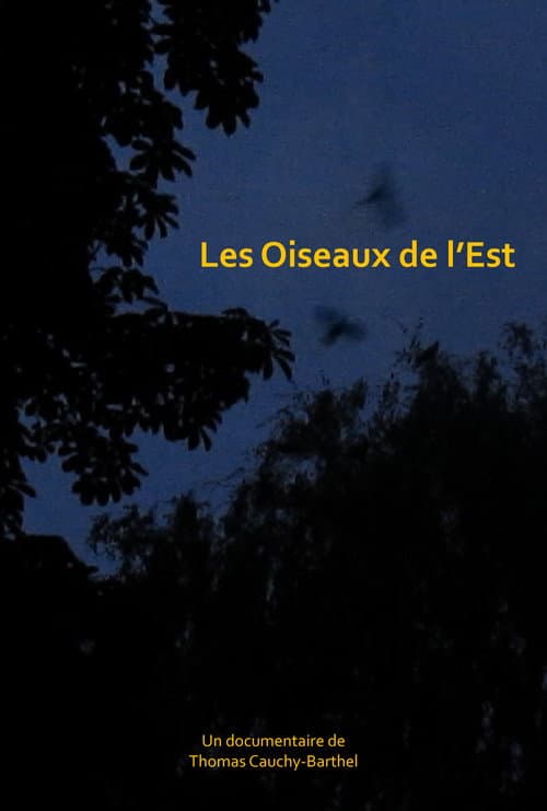 Les oiseaux de l'Est (2025) poster
