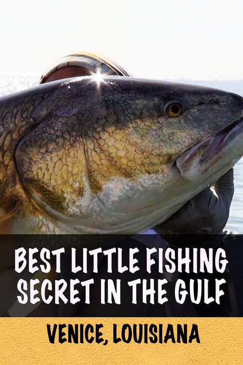 Best Little Fishing Secret in the Gulf: Venice, Louisiana (2020) poster