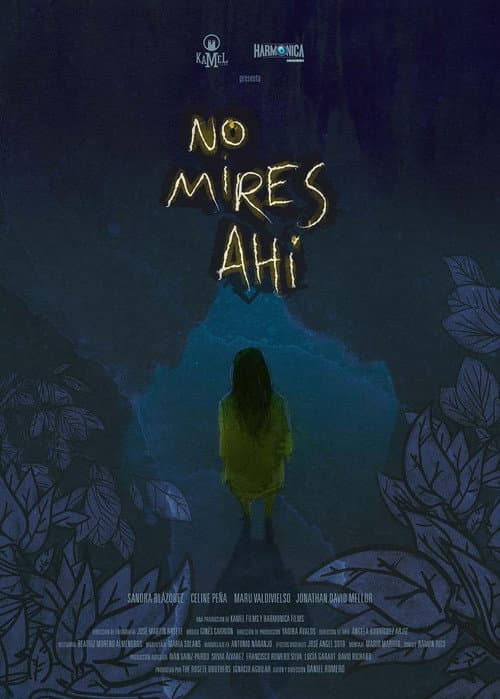 No mires ahí (2013) poster