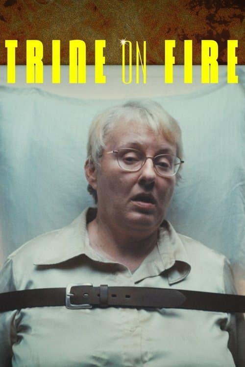 Trine on Fire (2025) poster