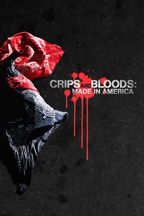 Crips and Bloods: Made in America (2009) poster