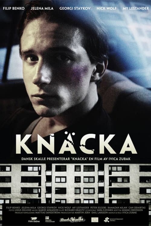 Knäcka (2009) poster