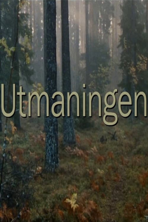 Utmaningen (1994) poster