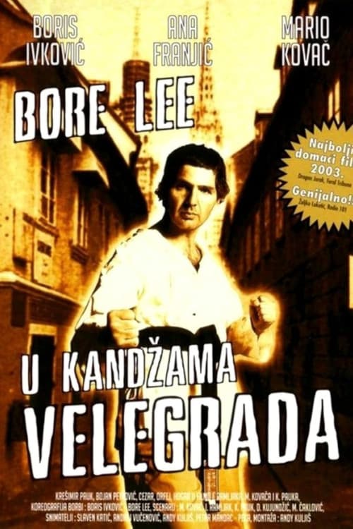 Bore Lee: U kandžama velegrada (2003) poster