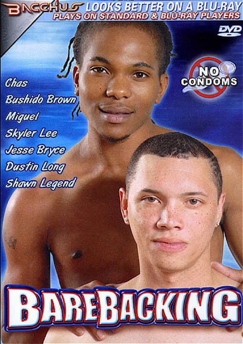 Barebacking (2009) poster