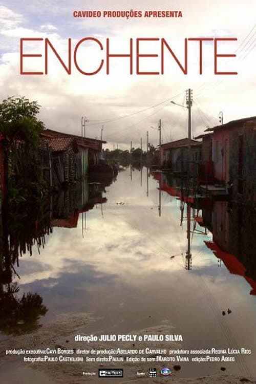 Enchente (2011) poster