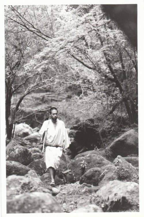 熊楠・KUMAGUSU (1991) poster