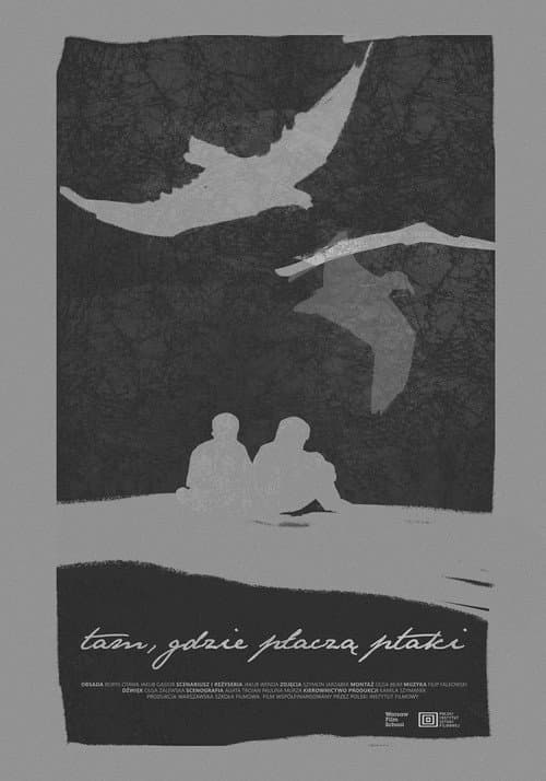Tam, gdzie płaczą ptaki (2023) poster