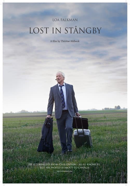 Lost in Stångby (2014) poster