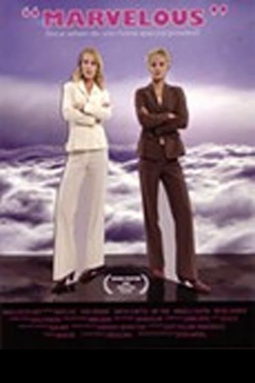 Marvelous (2008) poster