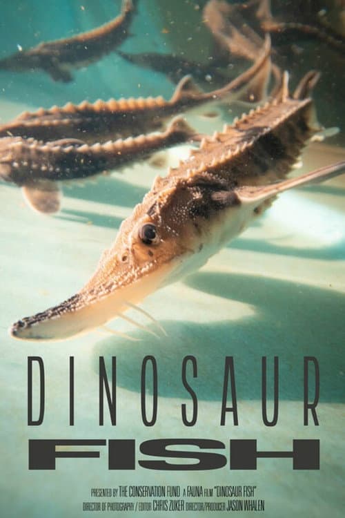 Dinosaur Fish (2026) poster