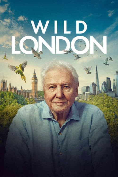 Wild London (2026) poster