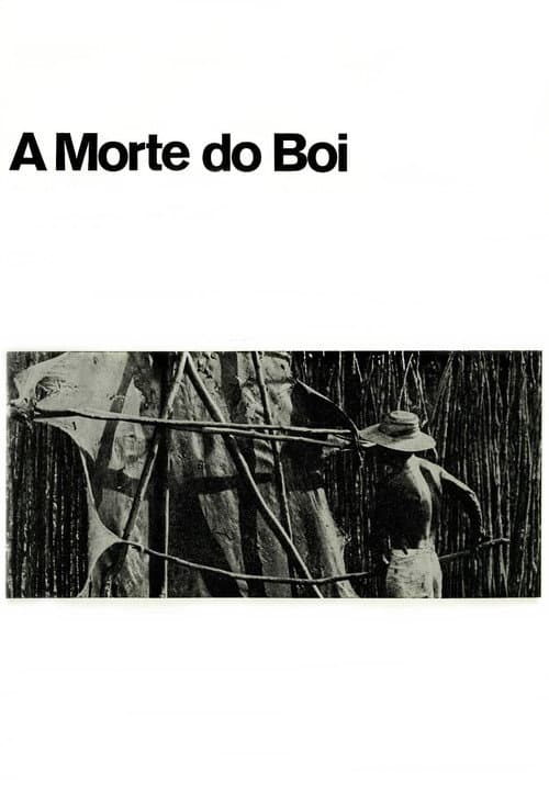 A Morte do Boi (1970) poster