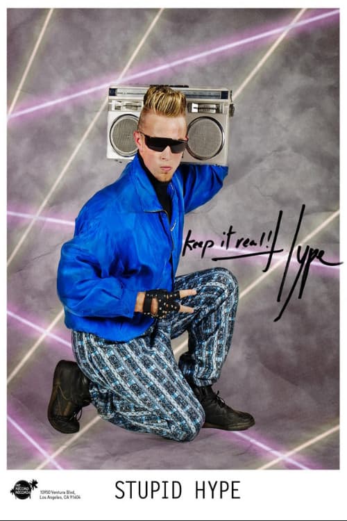 Stupid Hype (2013) poster