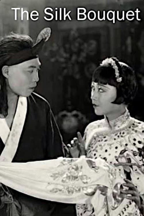 The Silk Bouquet (1926) poster